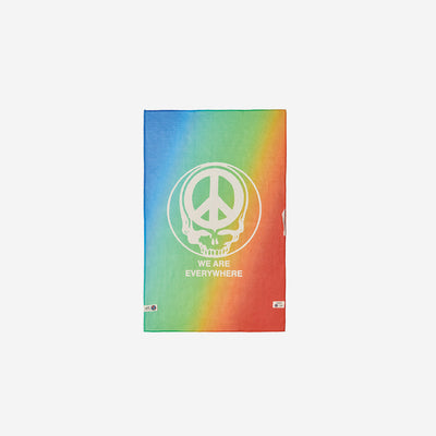 Rainbow kitchen towel with peace sign, skull, and We Are Everywhere text in white.
