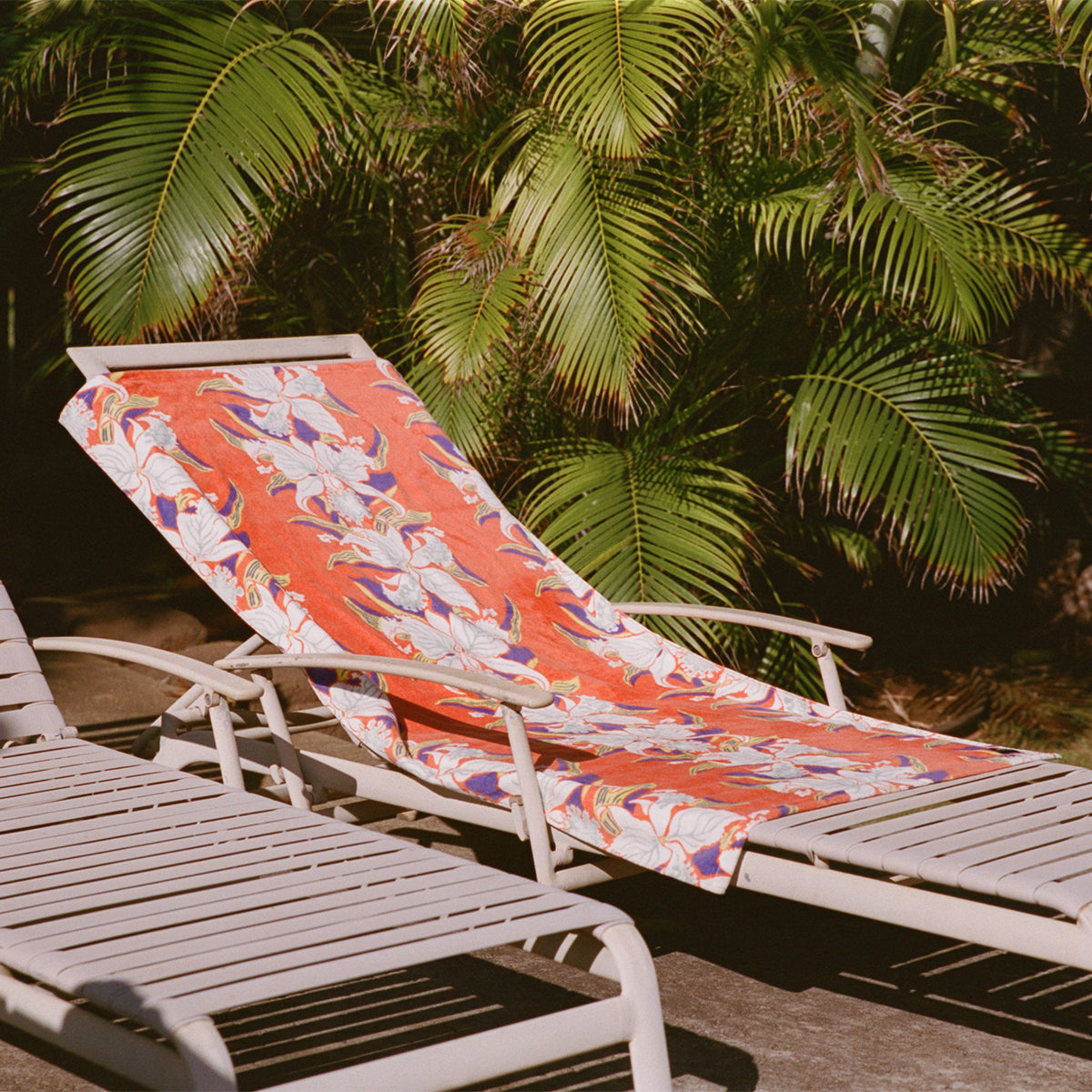 Orchid Beach Towel